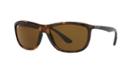 Ray-ban Tortoise Square Sunglasses - Rb8351