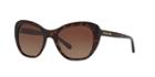 Coach Tortoise Cat-eye Sunglasses - Hc8204