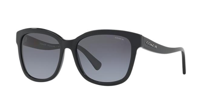 Coach 56 Black Square Sunglasses - Hc8219