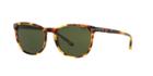 Polo Ralph Lauren 53 Tortoise Panthos Sunglasses - Ph4107
