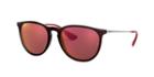Ray-ban Rb4171f 54 Erika Brown Pilot Sunglasses