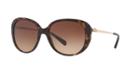Coach Tortoise Oval Sunglasses - Hc8215