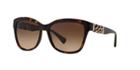 Coach Tortoise Square Sunglasses - Hc8156q