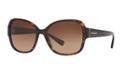 Coach Tortoise Butterfly Sunglasses - Hc8166