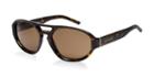 Burberry Be4113 Brown Square Sunglasses