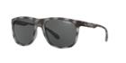 Arnette 56 Brown Rectangle Sunglasses - An4235
