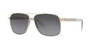 Versace 59 Gold Square Sunglasses - Ve2174