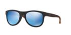 Arnette Class Act Black Matte Round Sunglasses - An4222