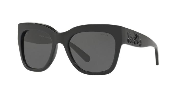 Coach 56 Black Square Sunglasses - Hc8213