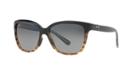 Maui Jim 744 Starfish 56 Multicolor Cat-eye Sunglasses