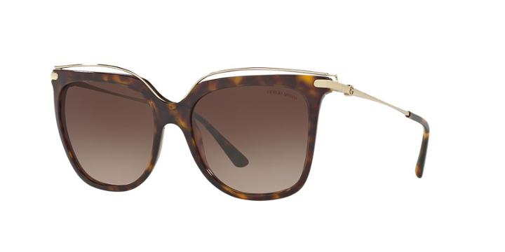 Giorgio Armani 55 Tortoise Square Sunglasses - Ar8091