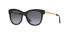 Giorgio Armani Black Square Sunglasses - Ar8011