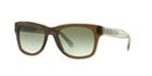 Burberry Green Square Sunglasses - Be4211
