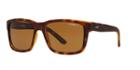 Arnette Swindle Brown Rectangle Sunglasses - An4218