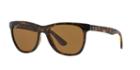 Ray-ban Rb4184 54 Brown Square Sunglasses