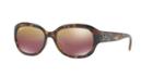 Ray-ban Rb4282ch 55 Tortoise Square Sunglasses
