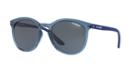 Arnette 55 Chenga R Blue Panthos Sunglasses - An4241