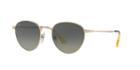 Persol 52 Gold Panthos Sunglasses - Po2445s