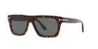 Tom Ford 55 Brown Square Sunglasses - Ft0592