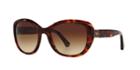 Emporio Armani Red Square Sunglasses - Ea4052