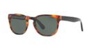 Polo Ralph Lauren 52 Tortoise Panthos Sunglasses - Ph4099