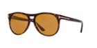 Tom Ford Ft0289 Callum Brown Round Sunglasses