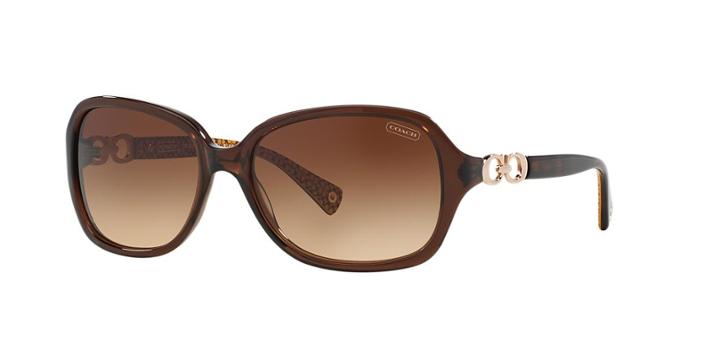 Coach Beatrice Brown Rectangle Sunglasses - Hc8019