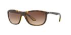 Ray-ban Rb8351m 60 Tortoise Square Sunglasses