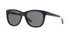 Polo Ralph Lauren Blue Square Sunglasses - Ph4105