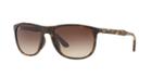 Ray-ban Rb4291f 58 Asian Fitting Tortoise Square Sunglasses