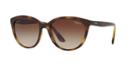 Vogue Vo5118si 57 Tortoise Cat-eye Sunglasses