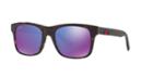 Gucci Gg0008s 53 Tortoise Rectangle Sunglasses