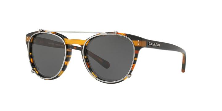 Coach 51 Multicolor Round Sunglasses - Hc8216