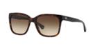 Emporio Armani Ea4042f 55 Asian Fitting Brown Square Sunglasses