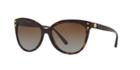 Michael Kors 55 Jan Tortoise Cat-eye Sunglasses - Mk2045