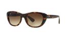 Ray-ban Tortoise Square Sunglasses - Rb4227