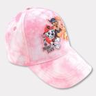 Toddler Girls' Paw Patrol Baseball Hat - Pink