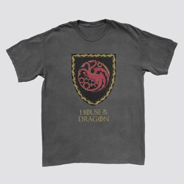 Men's House Of The Dragon Short Sleeve Graphic T-shirt - Charcoal Gray