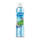 Target Secret Calm Birchwater Invisible