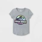 Girls' Jurassic World Short Sleeve Graphic T-shirt - Heather Gray