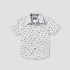 Oshkosh B'gosh Toddler Boys' Dinosaur Short Sleeve Button-down Shirt - Gray