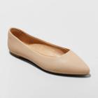 Women's Corinna Wide Width Pointed Toe Ballet Flats - A New Day Tan