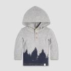Burt's Bees Baby Baby Boys' Forest Shadows Hooded T-shirt - Heather Gray