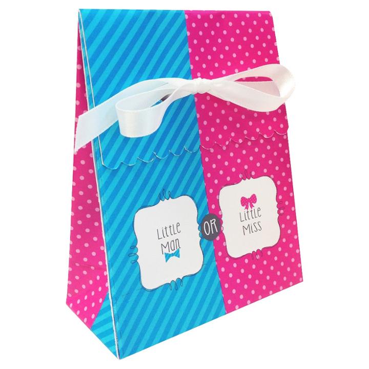 Creative Converting Baby Gender Reveal Favor Bags