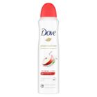 Dove Beauty Dove Advanced Care Apple & White Tea 48-hour Antiperspirant & Deodorant Dry
