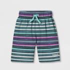 Speedo Boys' Cliff Side Striped Swim Trunks - Purple