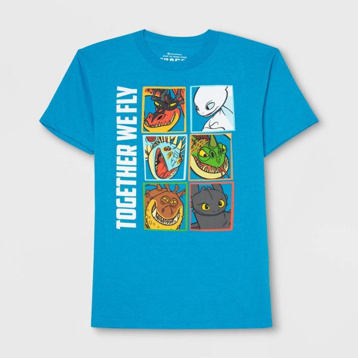 Dreamworks Boys' How To Train Your Dragon Short Sleeve T-shirt - Turquoise Heather