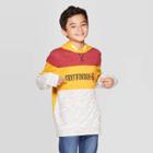 Boys' Warner Bros. Harry Potter Gryffindor Long Sleeve Hoodie - Yellow Xs, Boy's, Gold