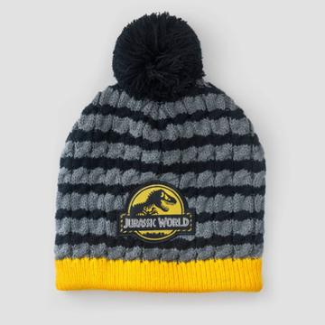 Jurassic Park Kids' Jurassic World Beanie, Black/gray