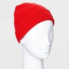 Women's Knit Beanie - Wild Fable Red